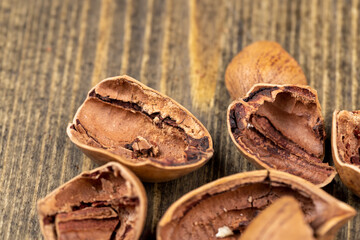 fresh crop of pecans on the surface