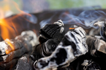 logs of apple tree wood burning down in the fire