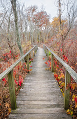 The Boardwalk at Piscataway Park