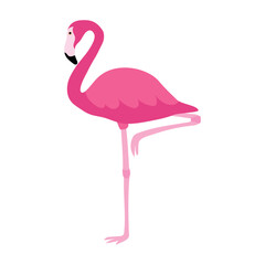 Flat icon pink flamingo isolated on white background. Tropical bird. Vector illustration.