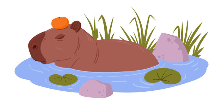 Semi aquatic capybara. Cartoon cute animal in natural habitat, wild herbivore mammal resting in pond flat vector illustration