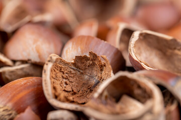 debris left after peeling the hazelnuts from the shell