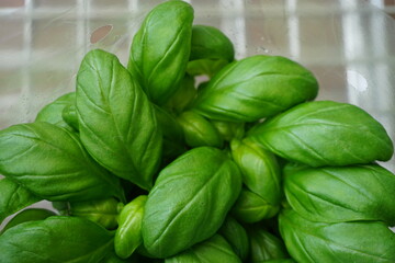 Frische Basilikum-Pflanze in Einkaufswagen 