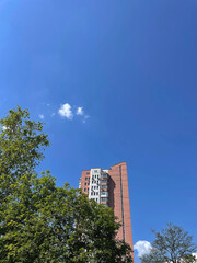 Almost clear blue sky, green tree and pink building