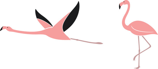 Flamingo logo. Isolated flamingo on white background © oleg7799