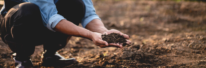 Smart farmer holding soil in his hands to examining quality of s