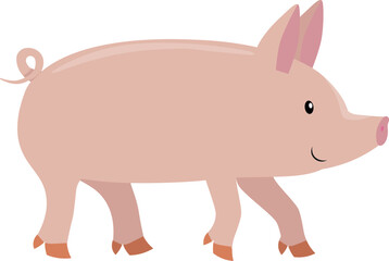 Cute pig isolated on white background. Vector illustration for children.