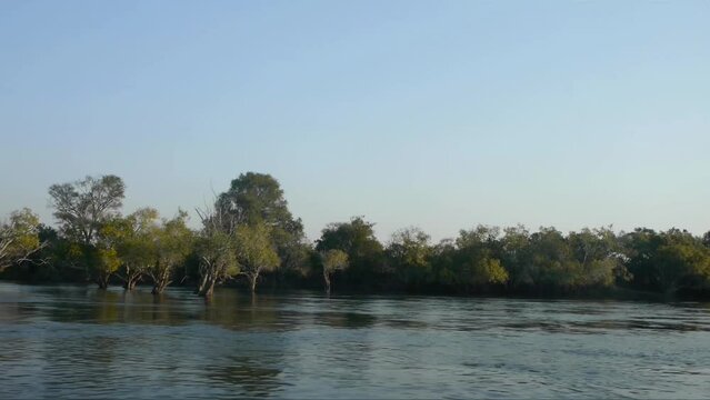 African riverine forest floodplain with trees sticking up through fast moving water on blue sky day