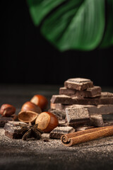 Close-up of pieces of chocolate with cocoa powder, cinnamon sticks and hazelnuts, selective focus, dark background with green leaf, vertical, with copy space
