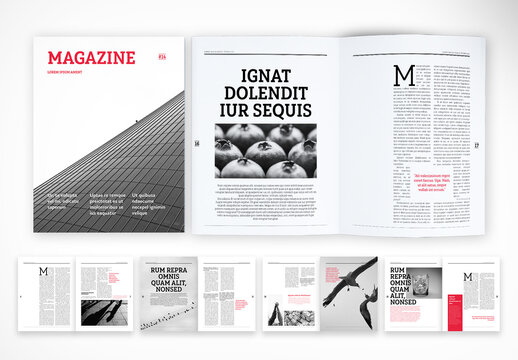 Grayscale Magazine with Red Accents