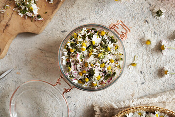 Glass jar filled with wild common daisy flowers to prepare syrup