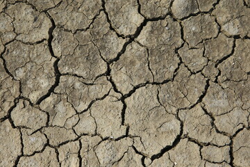 Climate warming dry chapped land