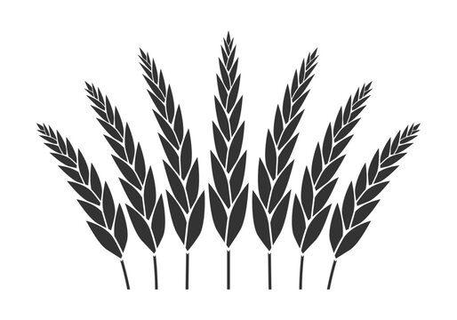 Wheat, grain icon. Cereal, barley symbol. Agriculture design. Vector illustration.