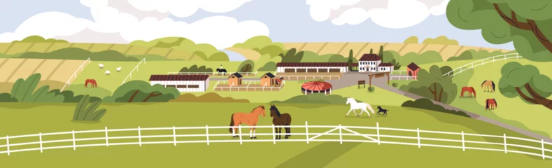 Fotobehang Horse farm, equine ranch with green grass field, animals grazing, rural buildings. Rural landscape, countryside scenery panorama with pasture, stables, stalls and stallions. Flat vector illustration © Good Studio