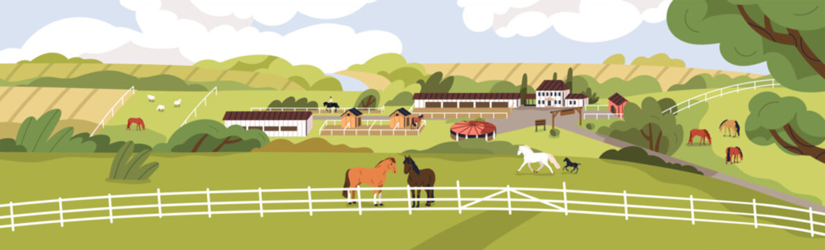 Horse farm, equine ranch with green grass field, animals grazing, rural buildings. Rural landscape, countryside scenery panorama with pasture, stables, stalls and stallions. Flat vector illustration