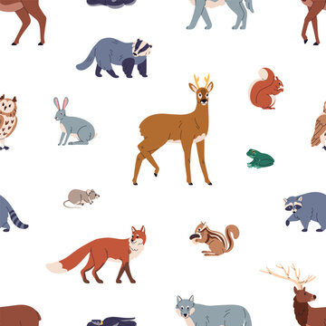 Seamless pattern, forest animals repeating print. Wild beasts, endless background design, wildlife species. European fauna, nature, repeatable wallpaper, textile, fabric. Flat vector illustration