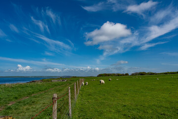 Fototapeta na wymiar Views around Penrhos Beach and Nature reserve , Anglesey