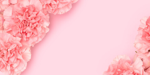 Banner with carnation and rose flowers on a pink background. Selective focus.
