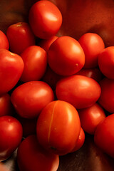 Fresh bundle of Tomatoes for Cooking 