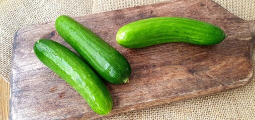 Fresh cucumbers on a wooden board close-up. Green cucumber on a wooden board. Small green cucumbers on the table. Juicy cucumbers for cooking. Fresh healthy vegetables.