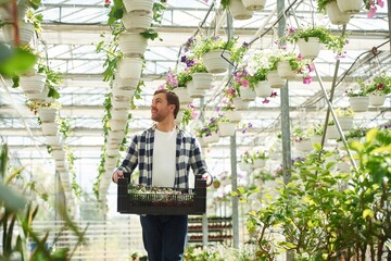 Employee is working in garden center. Successful employee is in a bright greenhouse