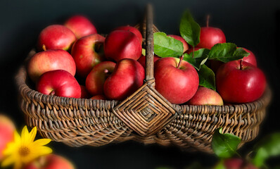 STIL LLIFE  WITH RED APPLES IN A BASKET, MACRO.