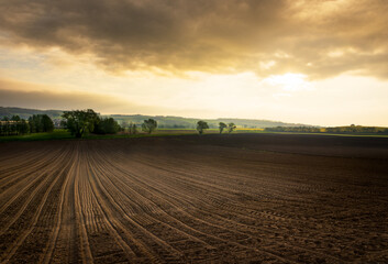 Plowed and sown field with dramatic sky