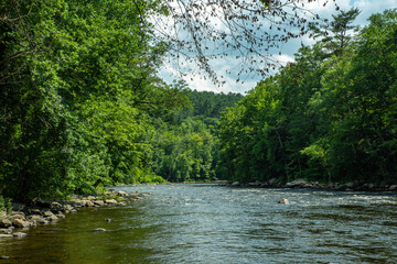 River going through beautiful wooded area Noank, Groton, CT, USA