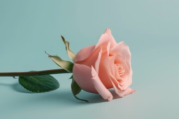 pink rose on a blue background. Generative AI