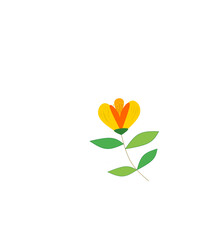 Yellow flower