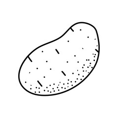 Vector hand drawn potato outline doodle icon. Starch sketch illustration for print, web, mobile and infographics isolated on white background