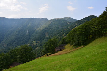 breathing in green nature wonderful view