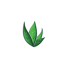Aloe vera logo vector ilustration