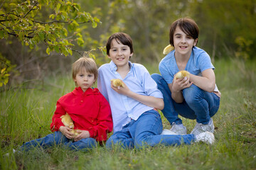 Fototapeta premium Beautiful preschool boy, playing with little ducks in the park