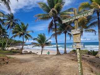 Praia do Jeribucacu, Bahia, Brazil - 601406090