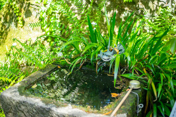 武田神社の水瓶