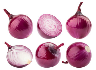 red onion isolated on white background, full depth of field - obrazy, fototapety, plakaty
