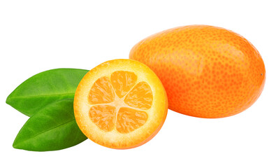 kumquat isolated on white background, full depth of field