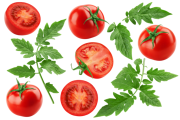 tomato isolated on white background, full depth of field