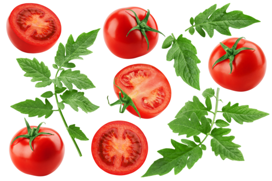 tomato isolated on white background, full depth of field