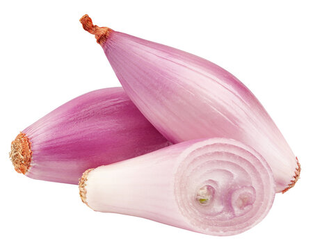 onion, shallot, isolated on white background, full depth of field