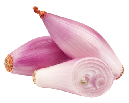 onion, shallot, isolated on white background, full depth of field