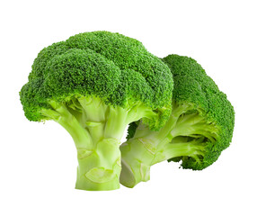 Broccoli isolated on white background, full depth of field