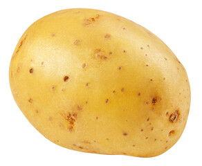 potato, isolated on white background, full depth of field