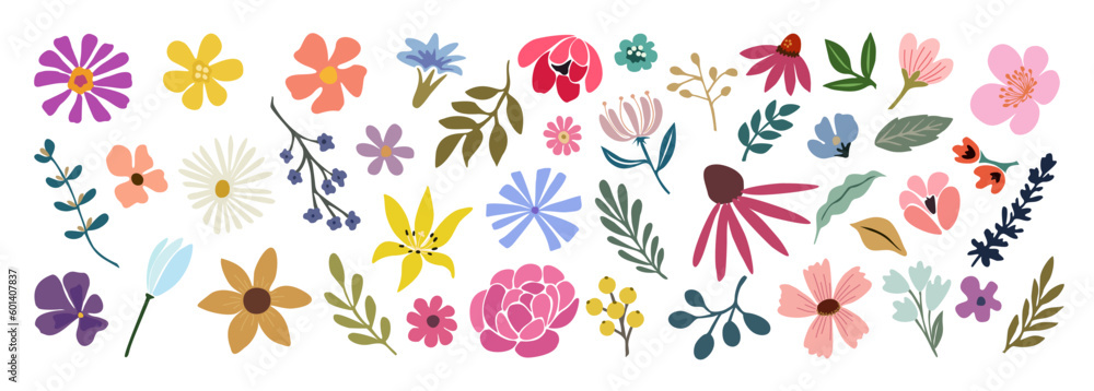 Wall mural set of hand drawn floral design elements, abstract shapes. wild and garden flowers, leaves. contempo