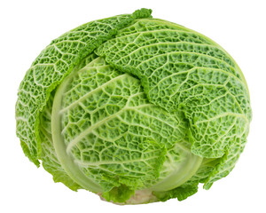 savoy Cabbage isolated on white background, full depth of field