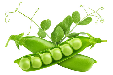 Pea, isolated on white background, full depth of field