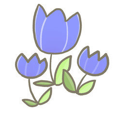 R:春うららときめく季節☆チューリップ④