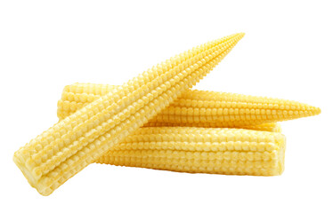 baby corn, isolated on white background, full depth of field