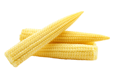 baby corn, isolated on white background, full depth of field